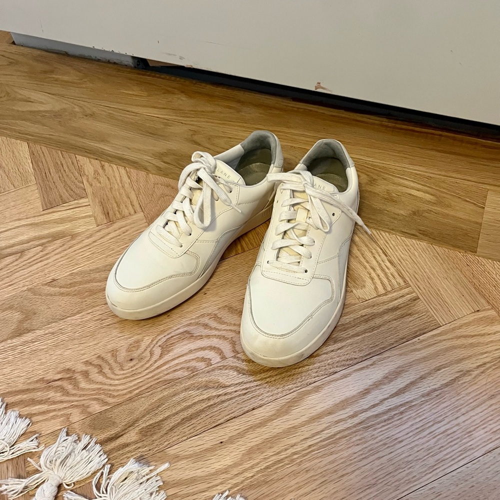 Everlane court sneaker size 7